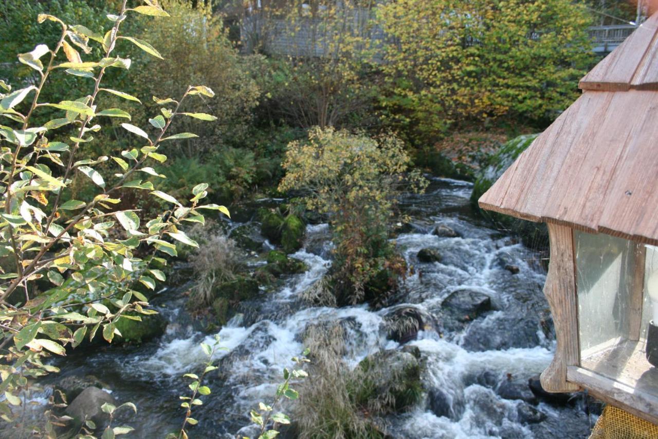 Gaestehaus Zur Lilie Triberg im Schwarzwald ภายนอก รูปภาพ